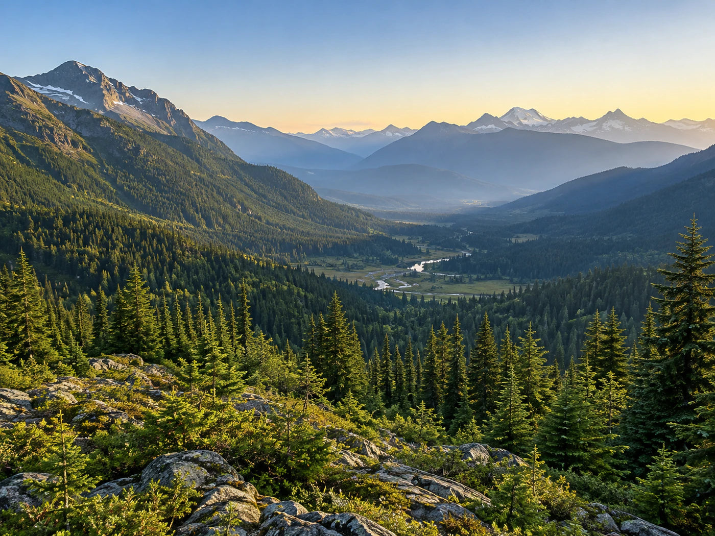 Bosque de montaña y matorral