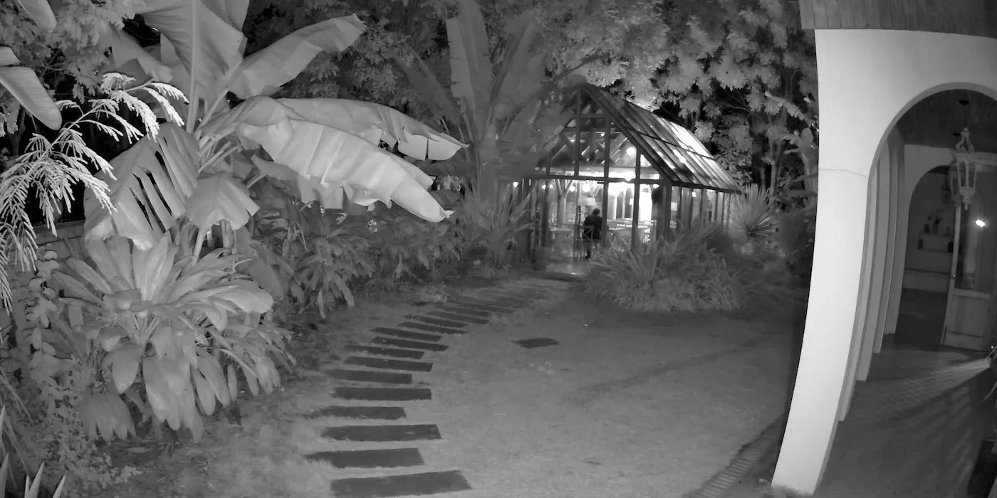 Infrarotansicht eines Gartens bei Nacht